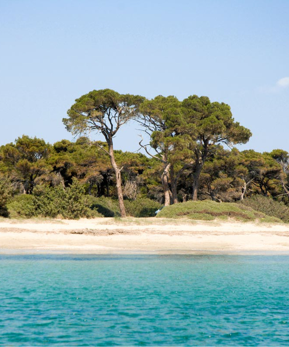 4cardinalpoints.com - Travel - Greece - Athens